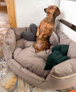 Holčičkám dneska přišel na otestování pelíšek, který bychom chtěli přidat do nabídky. 🤩 Vzaly to zodpovědně a nehnou se z...